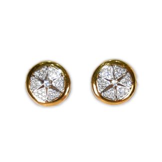 Chic Stunning Gold Earrings for Women